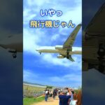 UFO？ 未確認飛行物体飛来 #たった30秒の旅をあなたへ　伊丹空港 千里川撮影スポット