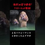 【未確認生物】海岸洞窟に隠れ住むトロールの集団!?