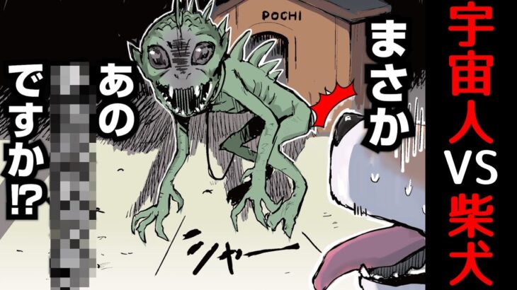 未確認生物と対決を迫られる柴犬 【世界の終わりに柴犬と切り抜き / アニメ / 漫画】