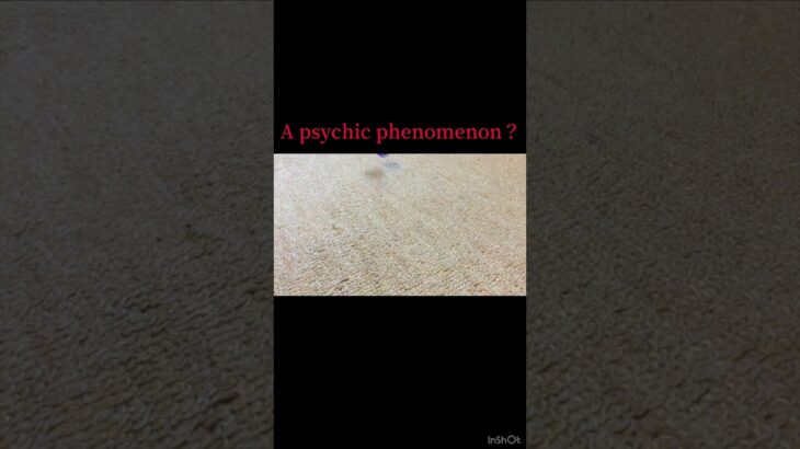 A psychic phenomenon？　心霊現象？