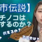 【未確認生物】ツチノコは実在した！？！？ #都市伝説 #UMA