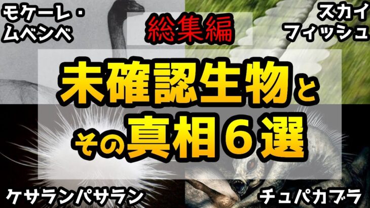 【総集編・ゆっくり解説】未確認生物、UMAの伝説と真相6選【作業用・睡眠用】【真相解明】