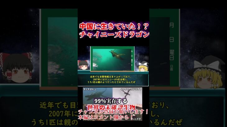 【ゆっくり解説】チャイニーズドラゴン、中国政府にひた隠しにされる生物の正体はいったい何なのか【UMA】#short #shorts #shortsfeed #shortvideo #ゆっくり#uma