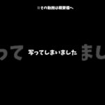 びっくり！ヒカキンさんの動画の心霊現象