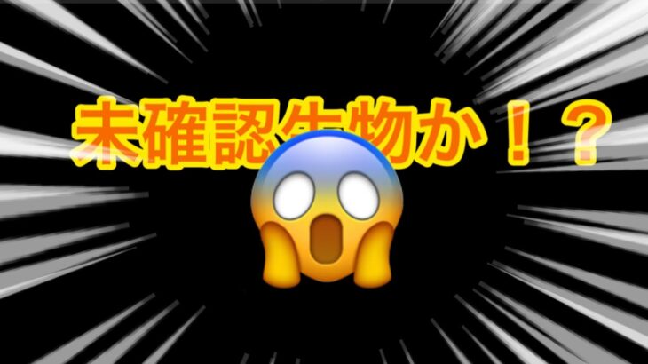 庭のハナミズキの木に未確認生物か⁉️😱　いえ、しっかり確認しましたヨ🤣🤣🤣