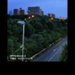 【最新超衝撃UFO映像】道路を超高速で飛ぶ未確認飛行物体が⁈2023年7月15日千葉市にて！