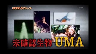 未確認生物UMAは存在する！