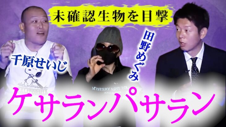 【怪談だけお怪談W】ケサランパサラン？未確認生物？千原せいじ/田野めぐみ『島田秀平のお怪談巡り』