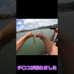 #shorts #釣り #長崎 #未確認生命体 #18禁