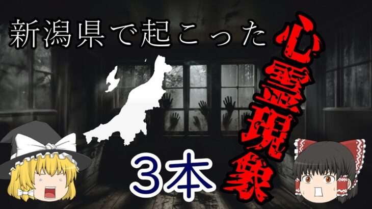 【再投稿】【怖い話】新潟県で起こった心霊現象【実話】