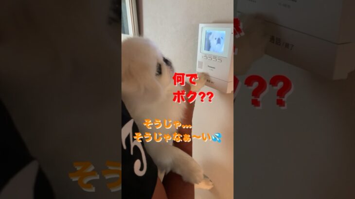 怖い😱心霊現象⁉️