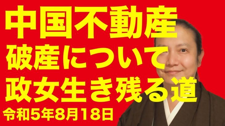 これからの政治 2026 都市伝説 N コメントはお気軽に！