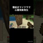 #マイクラ #Minecraft #ホラー #心霊現象