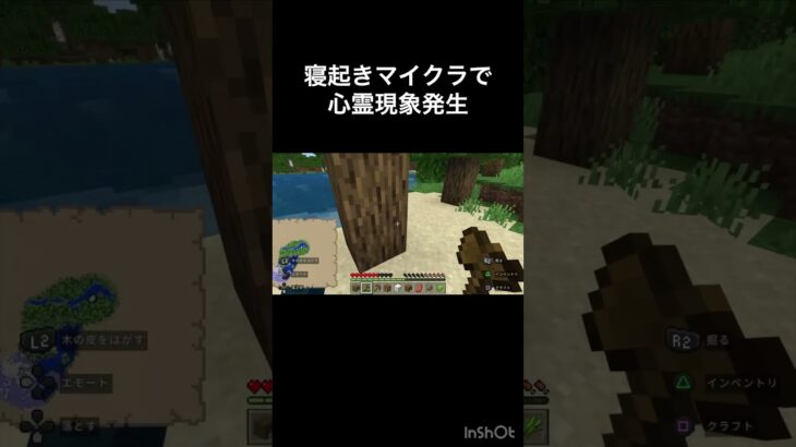 #マイクラ #Minecraft #ホラー #心霊現象