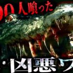 【未確認生物 UMA】死者300人の獣害事件…⁉︎ 人間を喰らう超巨大凶悪ワニ「ギュスターブ」