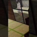 【心霊現象】映ってはいけないものが映ってしまいました…