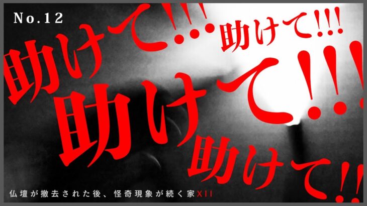 ※超閲覧注意※本物※かなりショッキングな映像です（怪奇現象が続く仏間）【心霊】