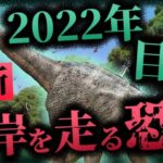 【未確認生物 恐竜】2022年最新目撃!! 目撃された海岸を走るUMA「小さな恐竜」