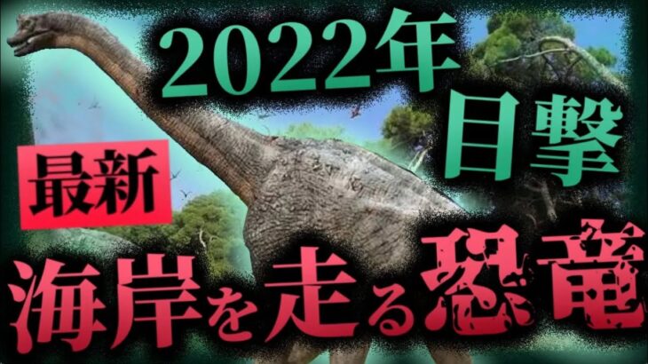 【未確認生物 恐竜】2022年最新目撃!! 目撃された海岸を走るUMA「小さな恐竜」