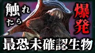 絶対に触れるな!! 刺激を受けると大爆発…!  危険度MAX未確認生物「エクスプローディングスネーク」 1