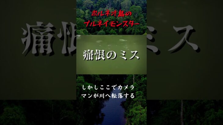 【未確認生物】異形の怪物!?ボルネオ島で撮影されたブルネイモンスター【UMA】