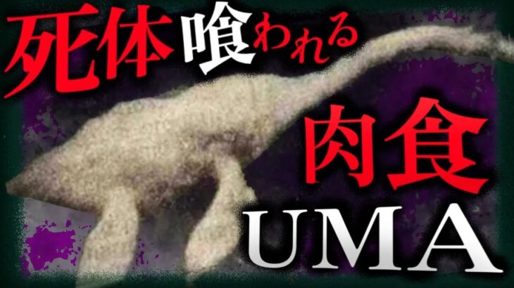 【未確認生物 UMA】人間に喰われた…⁉︎ 巨大肉食UMA「ネッキー」