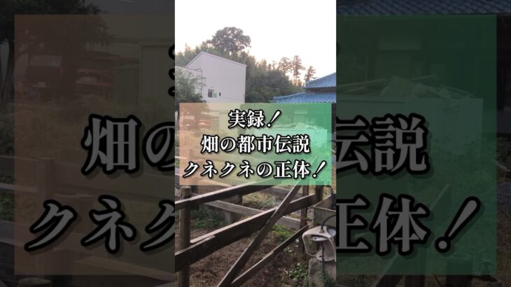 実録！畑の都市伝説、クネクネの正体、、、#都市伝説 #心霊 #怪談 #ホラー #人気 #話題 #shortsfeed #コメディ #shorts #おもしろ