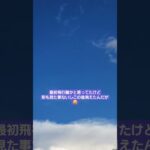 #ufo #未確認飛行物体 #田舎暮らし #実家暮らし #アラサー #散歩