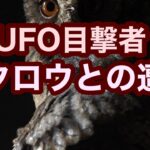 【UFO】謎のフクロウ　シンボルの謎【宇宙人】