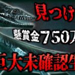 【未確認生物 UMA】ネッシーのいとこ⁉懸賞金がかけられた伝説生物「ペピー」