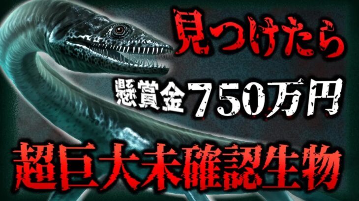 【未確認生物 UMA】ネッシーのいとこ⁉懸賞金がかけられた伝説生物「ペピー」