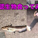 工場の隣で未確認生物食ってみた