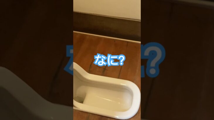 心霊現象 見えますか？ #都市伝説 #心霊 #不思議 #トイレ