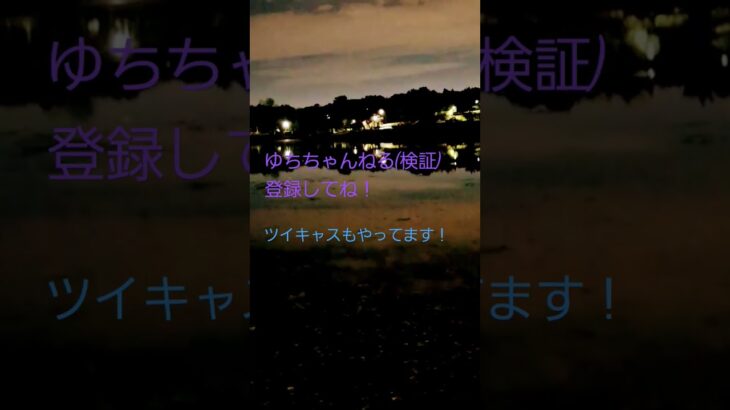 11/18(土)20:00～心霊検証upするよ！#心霊検証#心霊現象#心霊スポット#心霊写真#心霊動画#ゆちちゃんねる(検証)#ツイキャス主