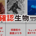 【TOP19】未確認生命体『UMA』ランキング！海外から日本の未確認生物を一挙紹介