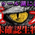 【未確認生物 UMA】何かいる !  ストゥール湖に潜む巨大UMA「ストーシー」