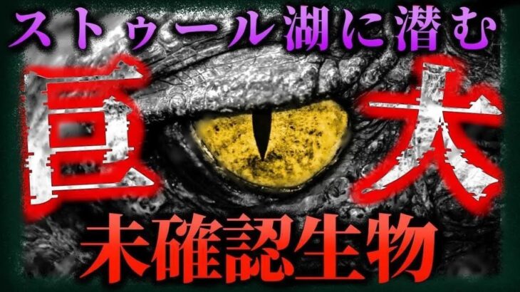 【未確認生物 UMA】何かいる !  ストゥール湖に潜む巨大UMA「ストーシー」