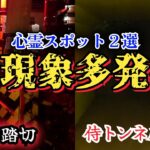 【心霊】侍トンネルと源太郎踏切をガチ検証【埼玉·川口·大宮】心霊スポット、ユーチューバー、YouTuber、人怖、廃墟、探索、恐怖、怖い、映像、動画、番組、Japanese、horror