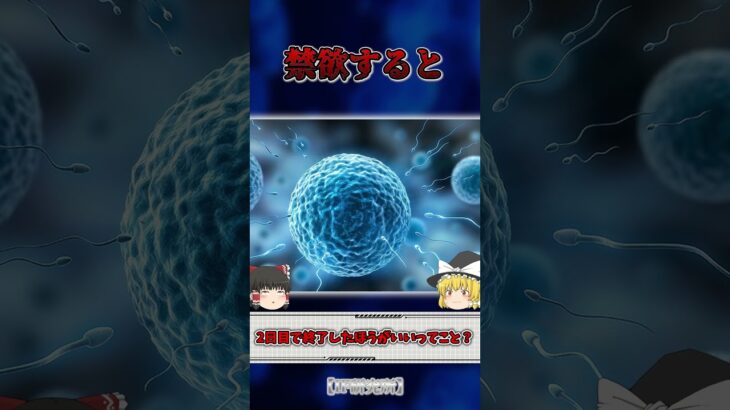 【ゆっくり解説】もしも男性が禁欲すると… #ゆっくり解説 #都市伝説 #雑学 #科学 #禁欲