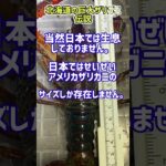 《都市伝説》北海道の摩周湖に生息する真のヌシ 化け物級のザリガニ