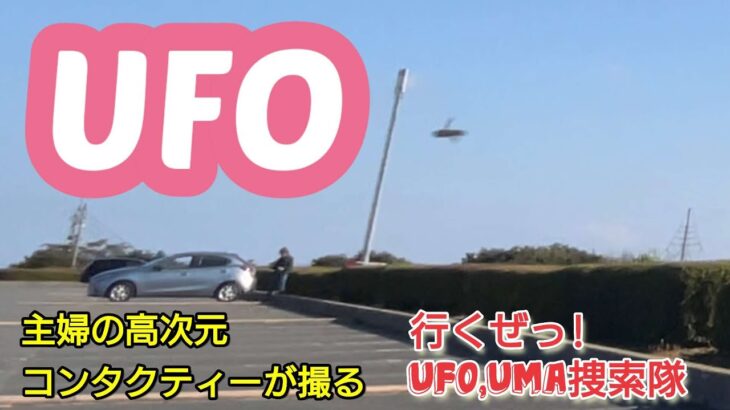 みんなに知ってもらいたかった、あの未確認飛行物体！至近距離での撮影に成功やはりアレは「虫」ではなかった