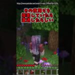 あまりにも危険すぎる都市伝説 目撃情報3選【マイクラ】#Shorts