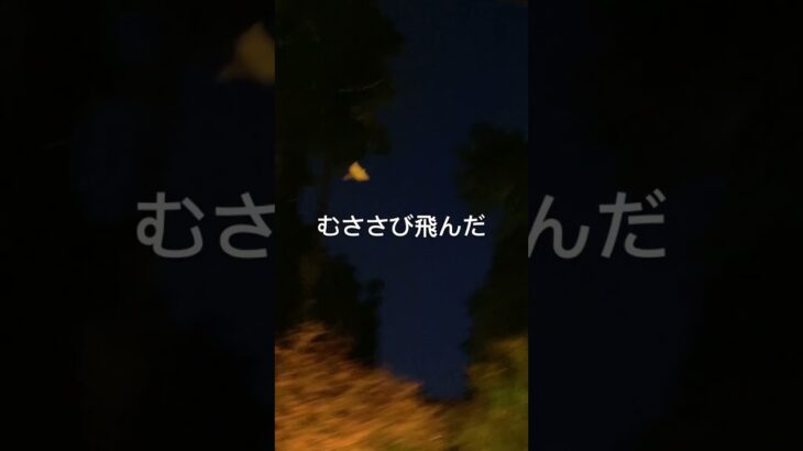 未確認飛行物体UFO? 静岡県袋井市