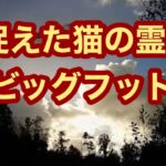 【UFO / UMA】失われた地下文明　ビッグフットと猫の霊　撮影されたUFO  幻のレムリア大陸と霊山シャスタ山　ネイティブアメリカン