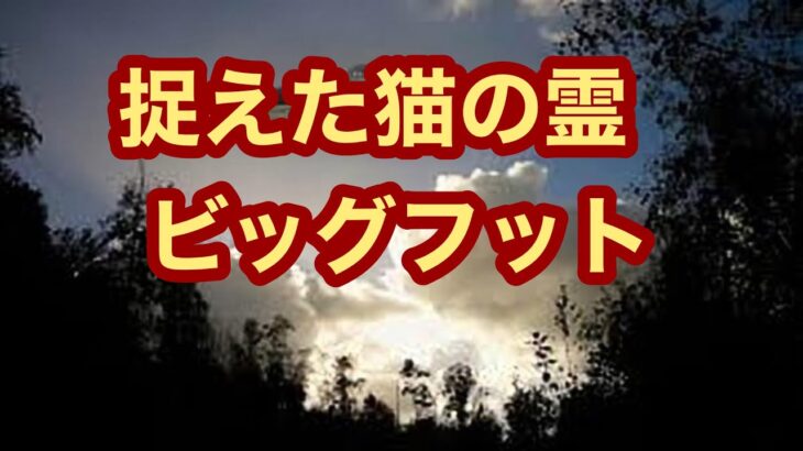 【UFO / UMA】失われた地下文明　ビッグフットと猫の霊　撮影されたUFO  幻のレムリア大陸と霊山シャスタ山　ネイティブアメリカン