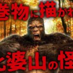 【都市伝説 未確認生物】日本神話にも登場する怪獣ミステリー…!  比婆山で多数目撃される怪獣UMA「ヒバゴン」