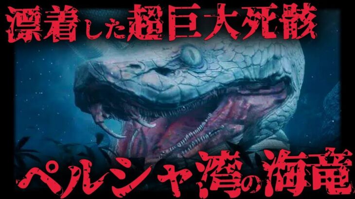 【都市伝説 未確認生物】存在が噂される超巨大海竜…!   とある湖に潜む伝説UMA「ペルシャ湾の海竜」