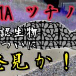 未確認生物【ツチノコ】（UMA）ついに発見か!!