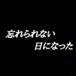 【幽霊と同居】おっさんの霊の目印が決まり光る黒猫さん【心霊スポット、ユーチューバー】心霊、YouTuber、事故物件、霊視、幽霊屋敷、霊媒師、霊能者、幽霊、同棲、映像、動画、座敷わらし