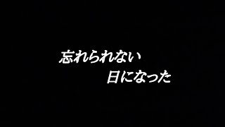 【幽霊と同居】おっさんの霊の目印が決まり光る黒猫さん【心霊スポット、ユーチューバー】心霊、YouTuber、事故物件、霊視、幽霊屋敷、霊媒師、霊能者、幽霊、同棲、映像、動画、座敷わらし